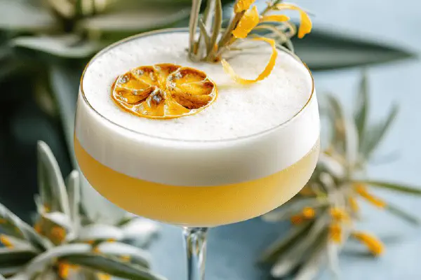 Porto Refrescante com Twist Cítrico