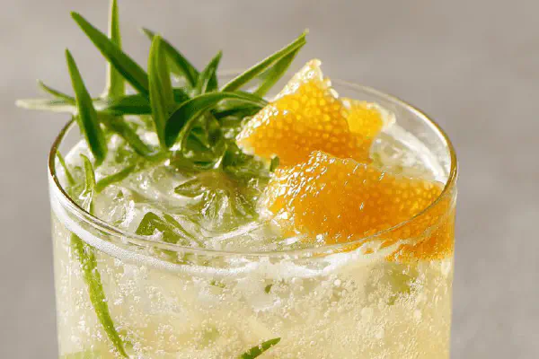 Gin Cítrico Refrescante