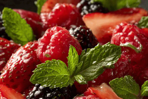 Salada refrescante de legumes