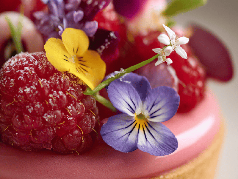 Tartelettes mousse framboesa-rhubarbe